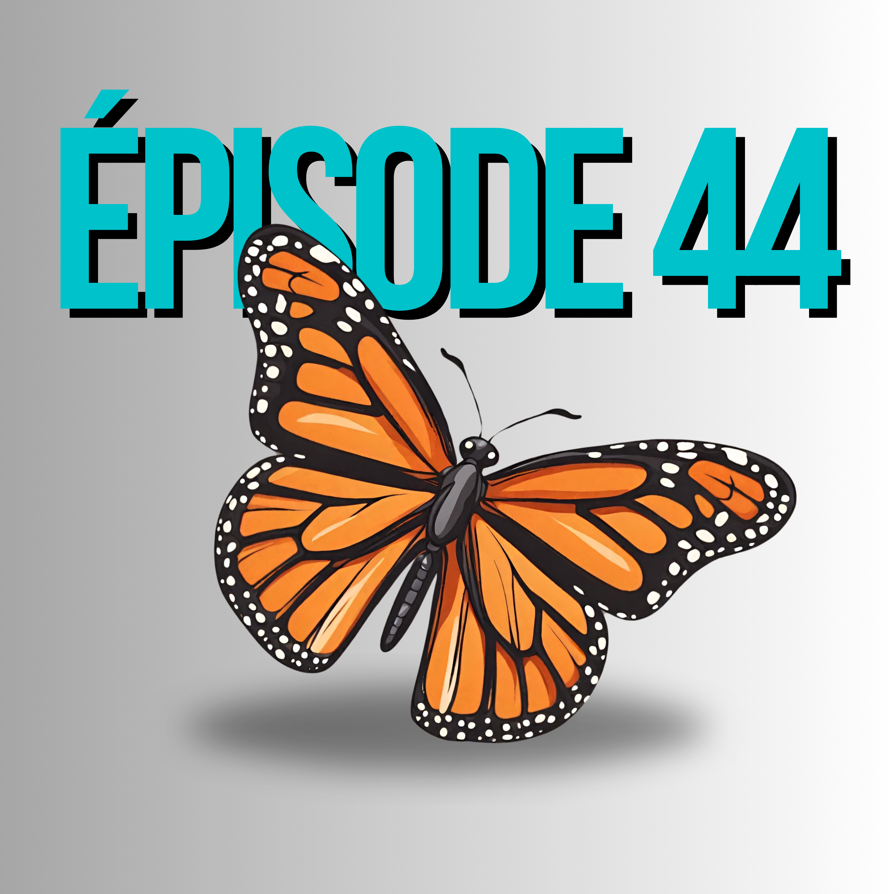 Épisode 44 - Coïncidence et effet papillon