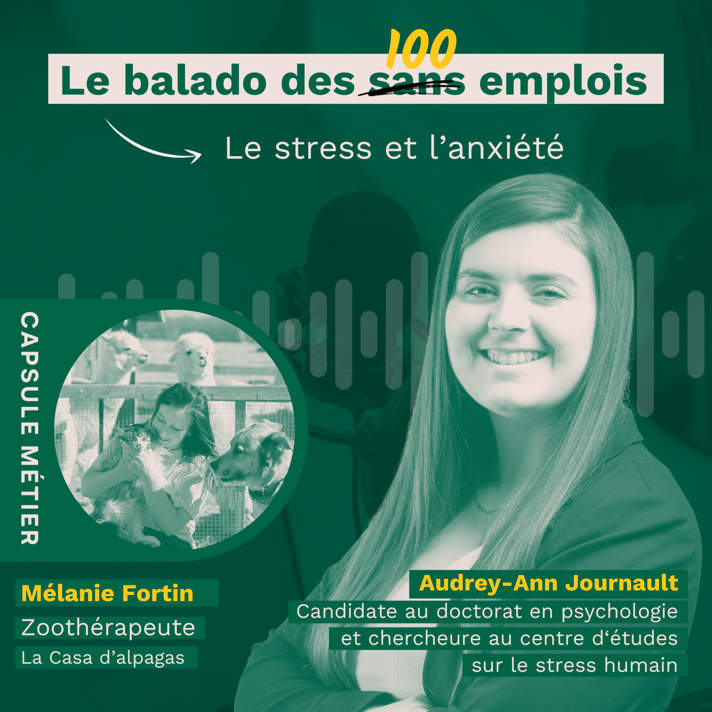 Saison 3 - Épisode 3 : Le stress et l'anxiété