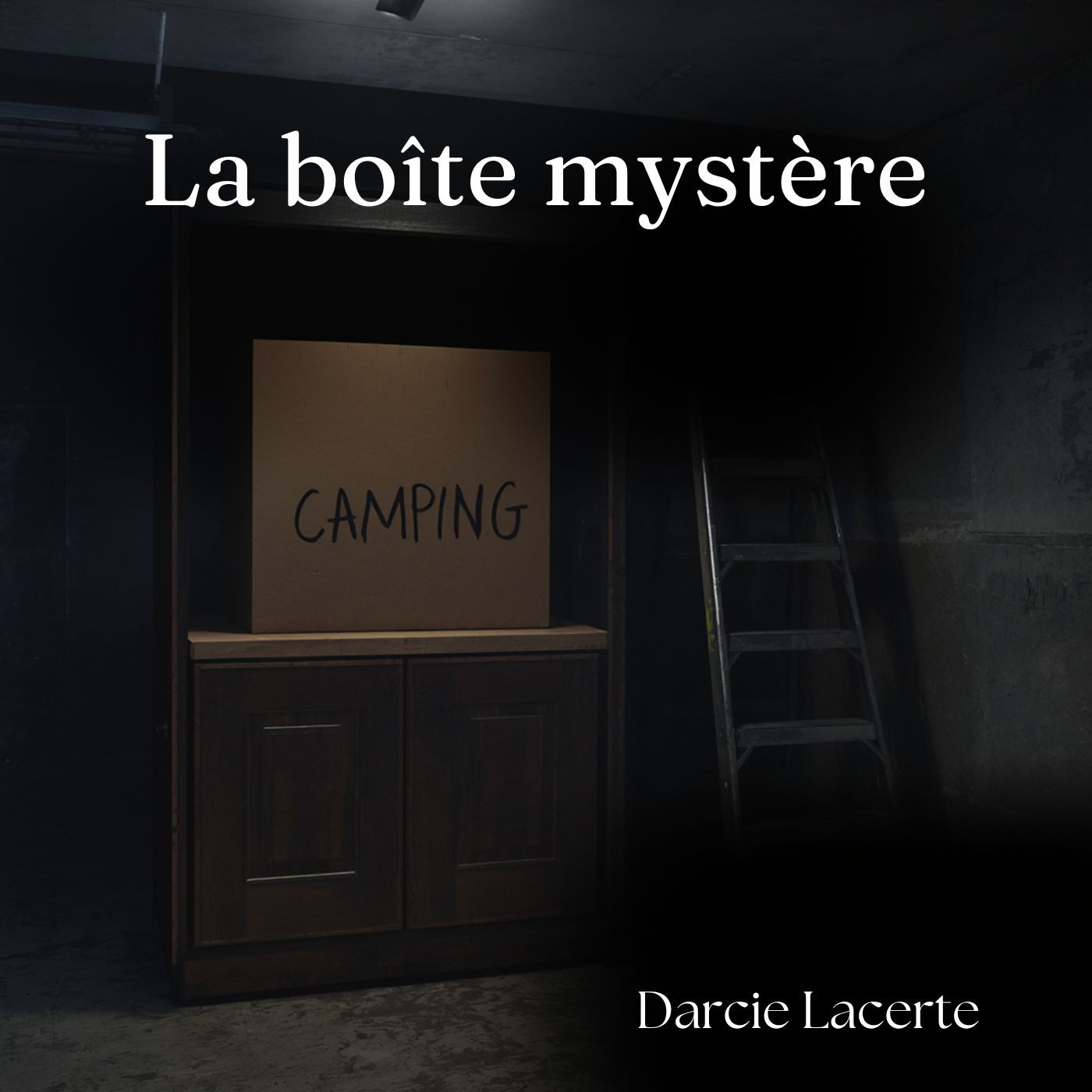 Jour 3. Scène 5. La boîte mystère.