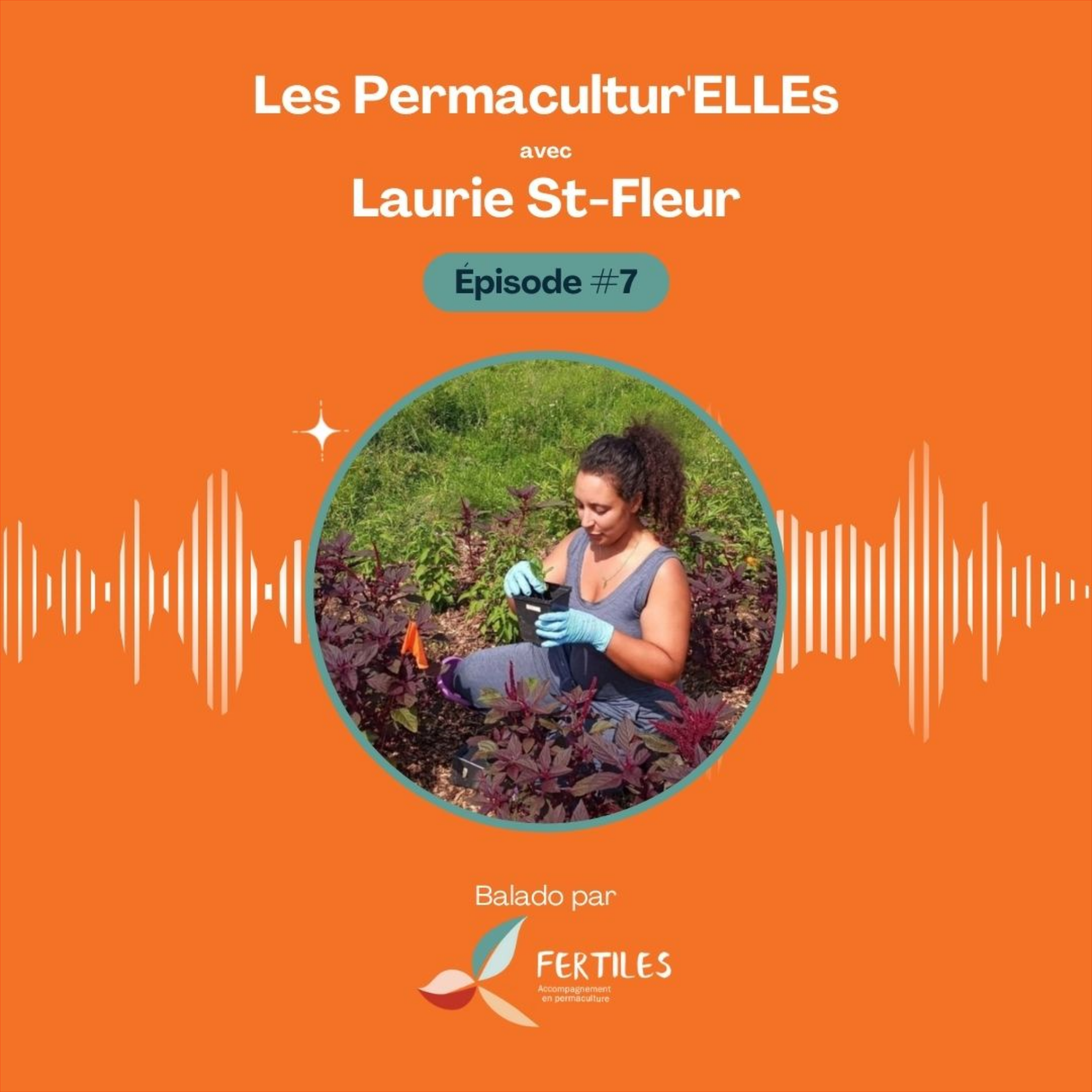 Les choux chinois aiment-ils le basilic africain? par Laurie Sainte-Fleur