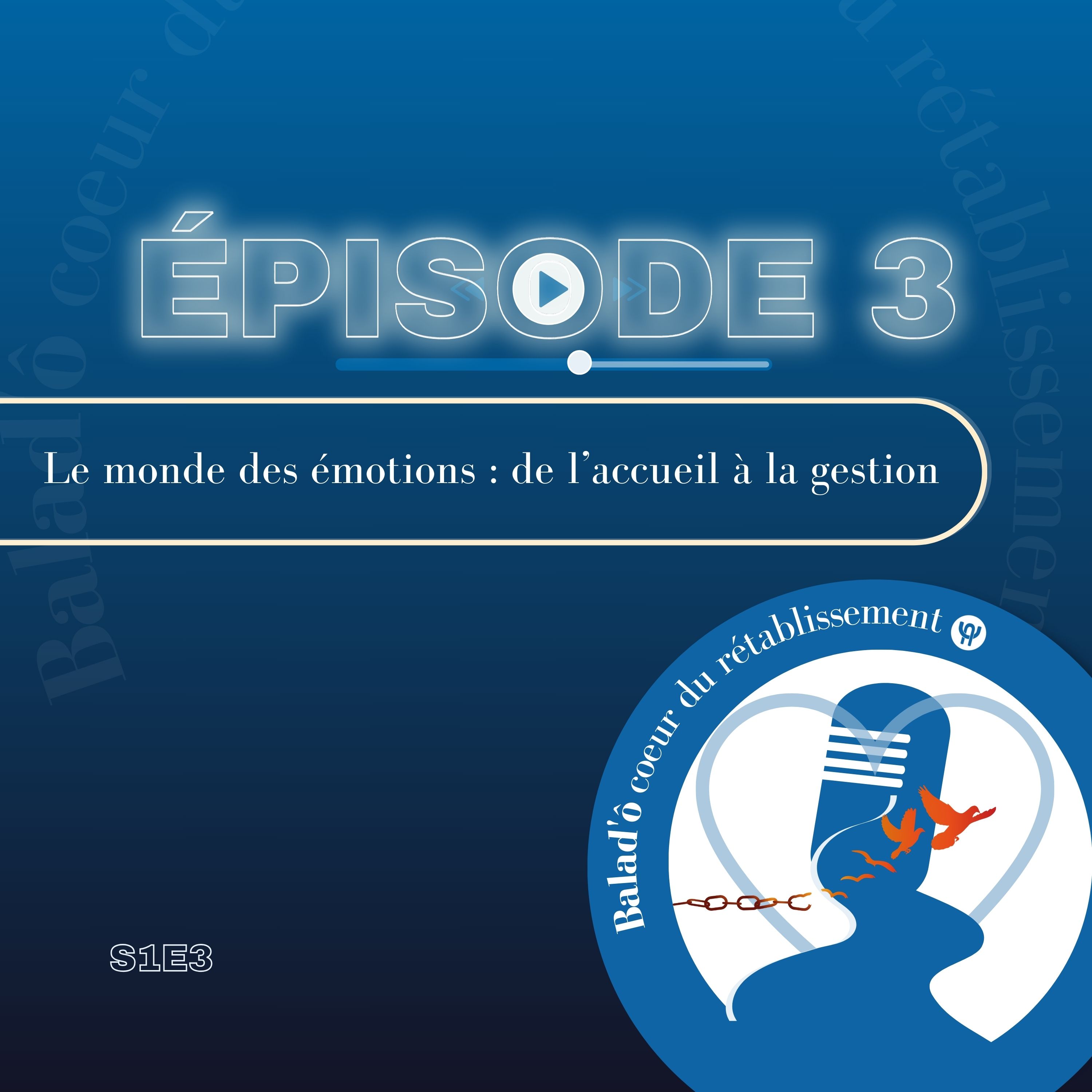 Le monde des émotions : de l’accueil à la gestion