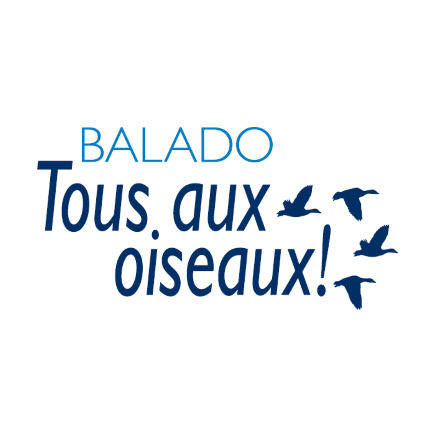 Épisode 45: Baguage de Petites Nyctales