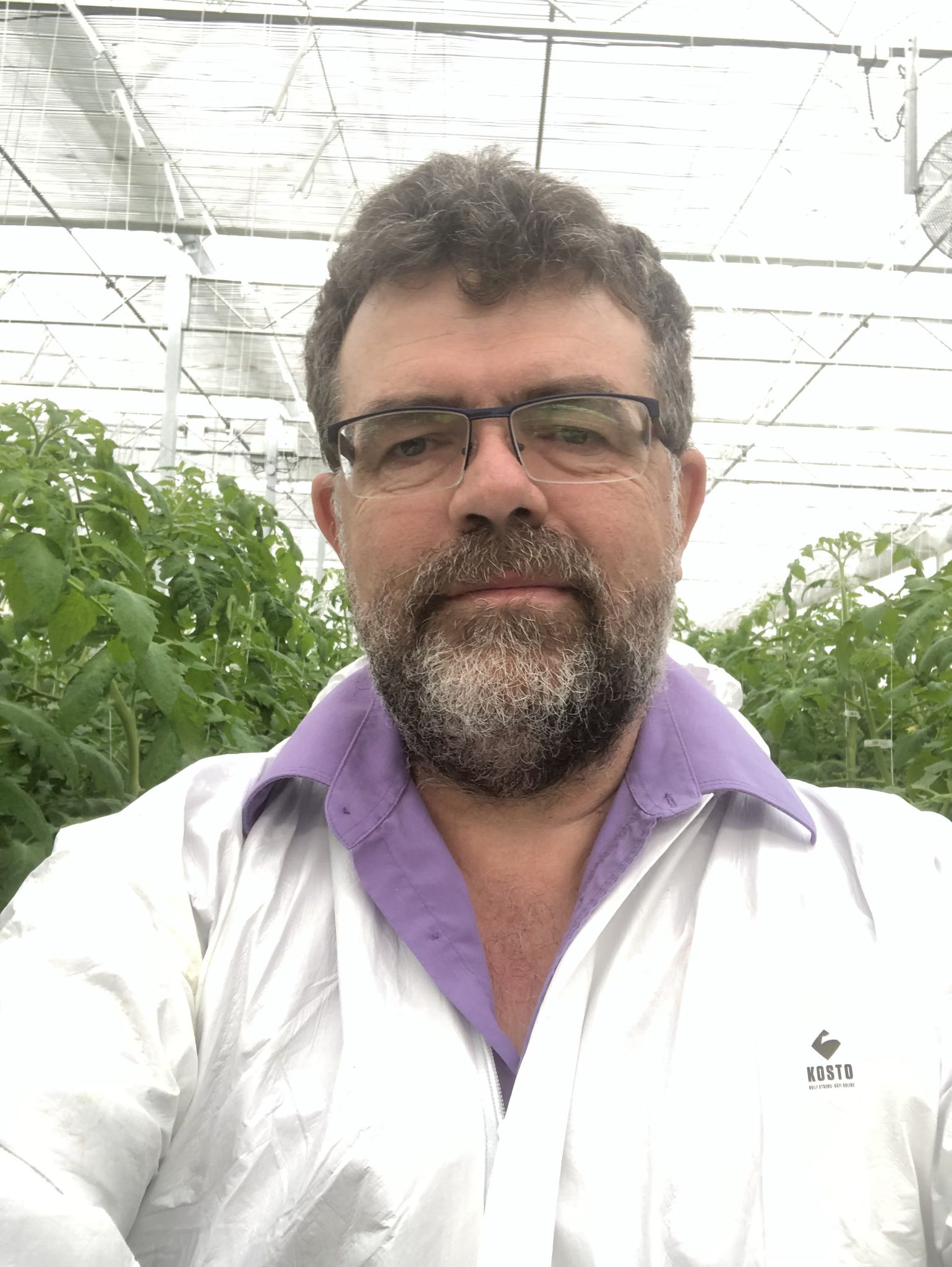 Comment apprivoiser la complexité de la gestion des tomates en serre?