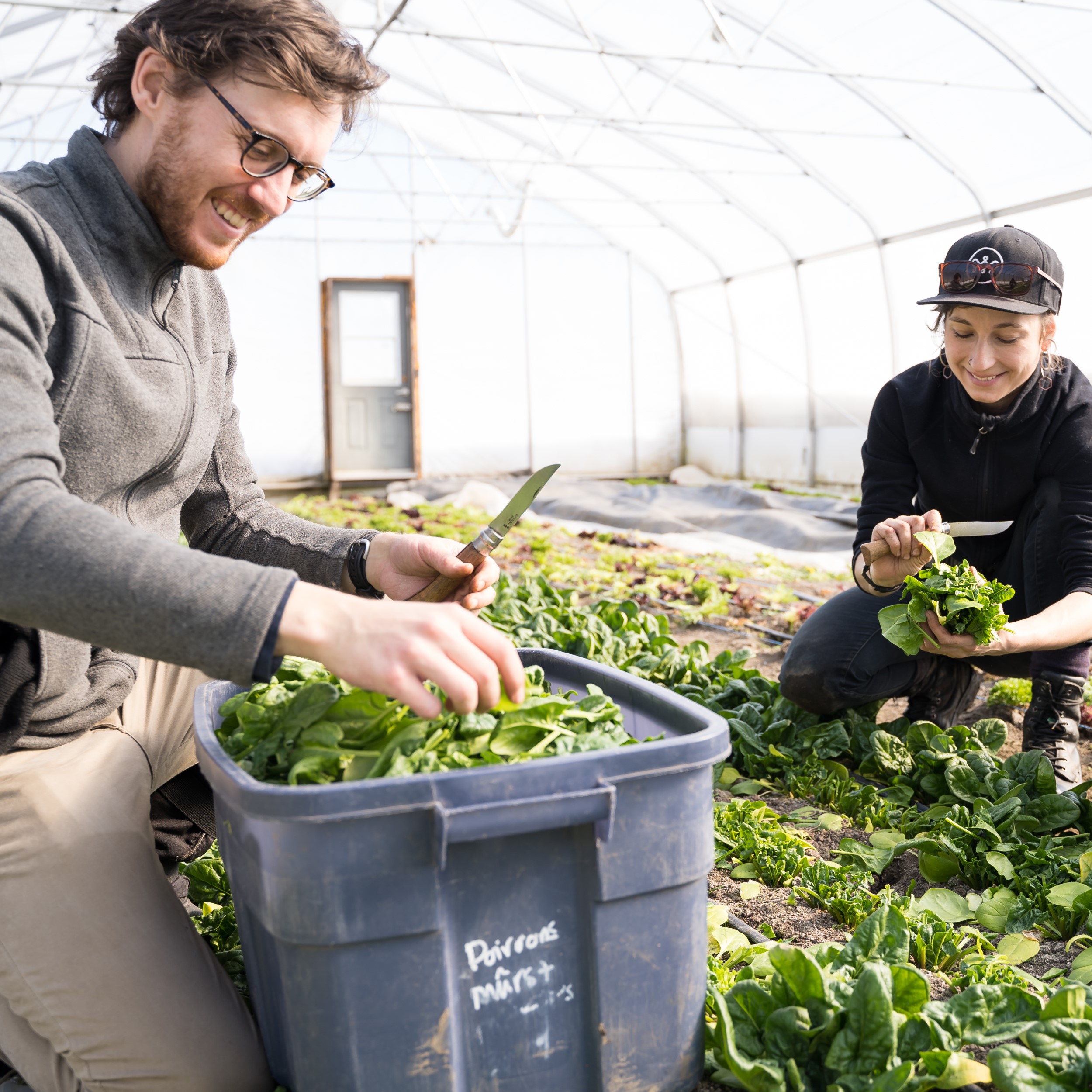 En quoi consiste la rétrospective de notre production hivernale?