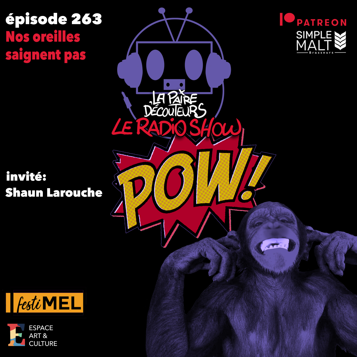 LE RADIO SHOW Ép.263 invité Shaun Larouche (FestiMEL)