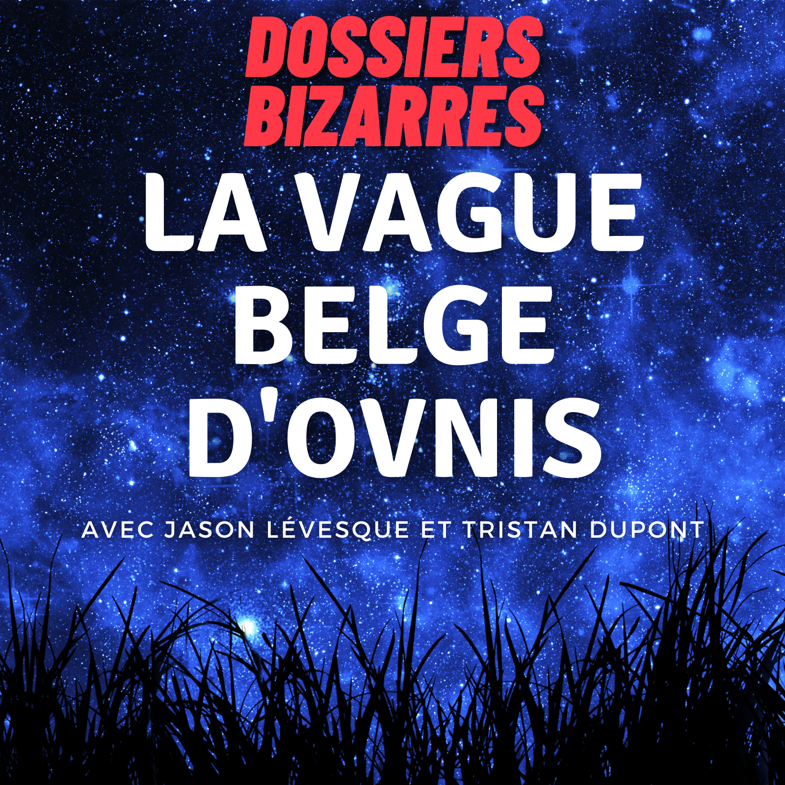 La vague belge de 1989