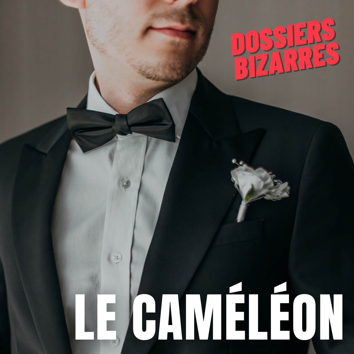 Le Caméléon