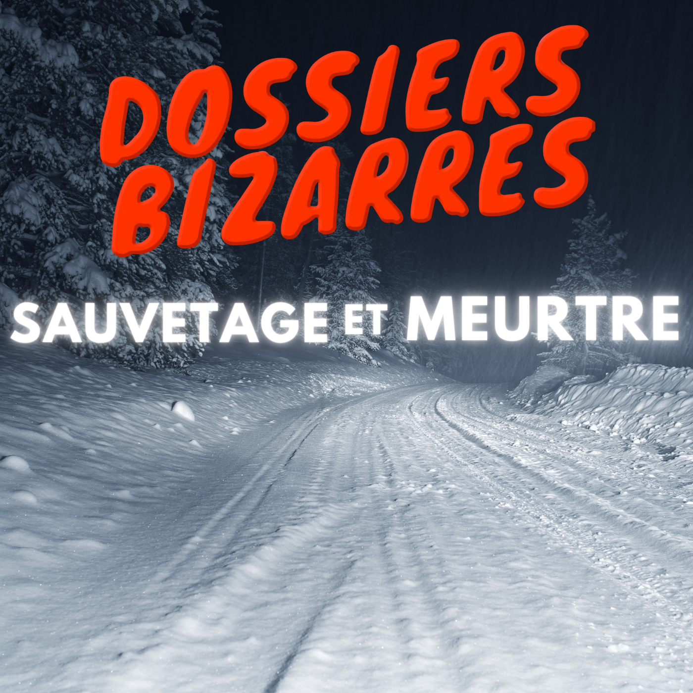 Sauvetage et Meurtres
