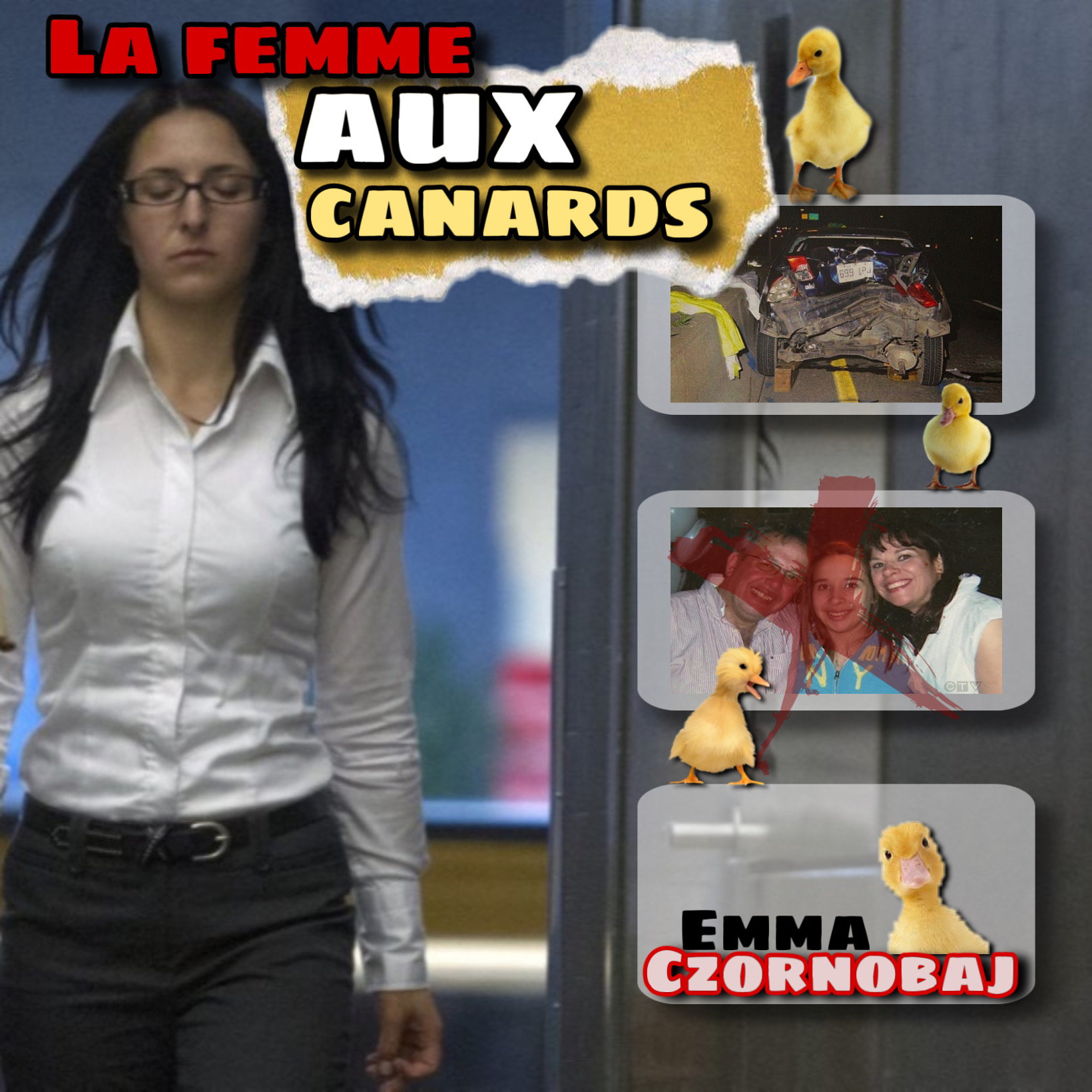 les vilains PETITS CANARDS episode artwork
