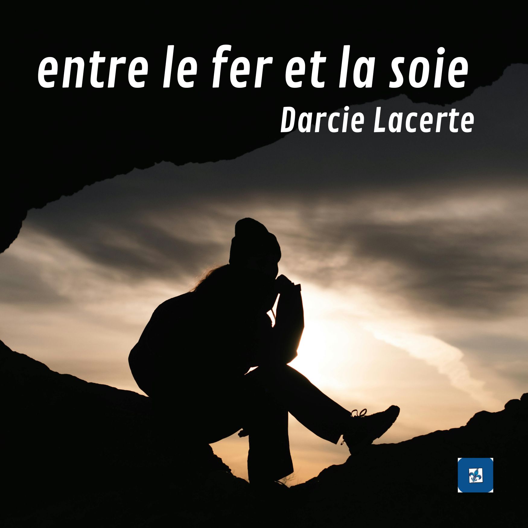 Entre le fer et la soie 