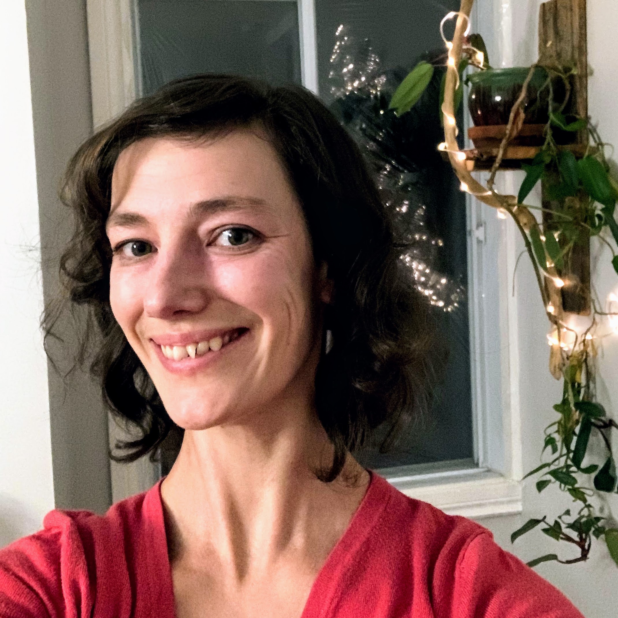 Le système familial intérieur