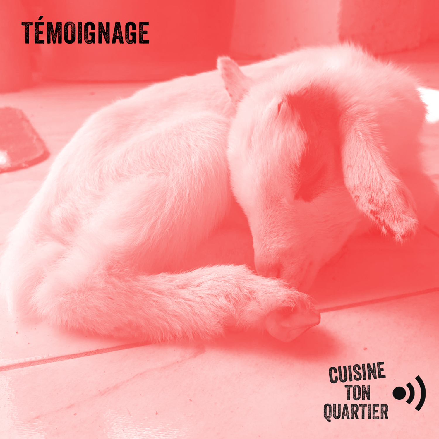 06. Jeanne-Françoise Nsanganiyumukama | Femme libérée