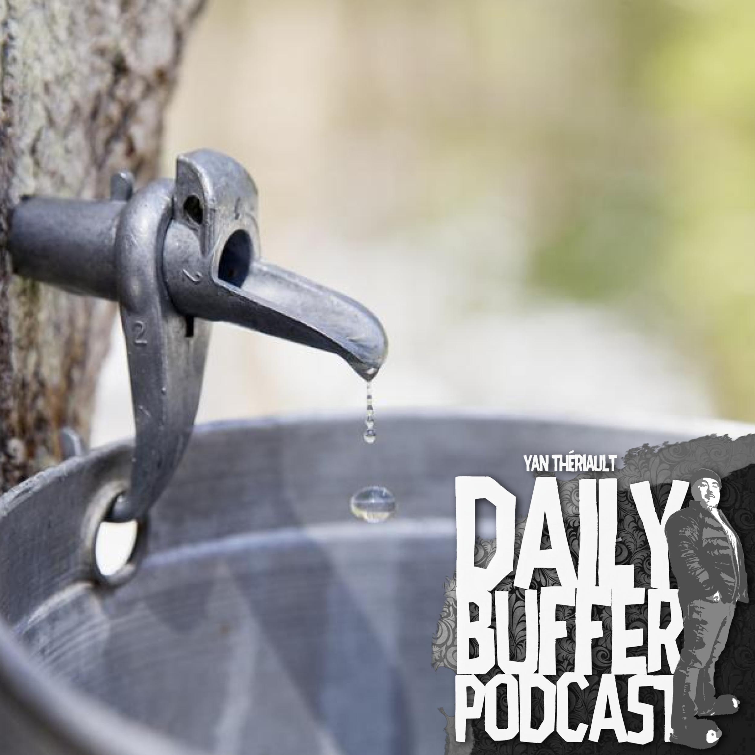 Le milieu du sirop d'érable est pire que la mafia!! - Le Daily Buffer l Yan