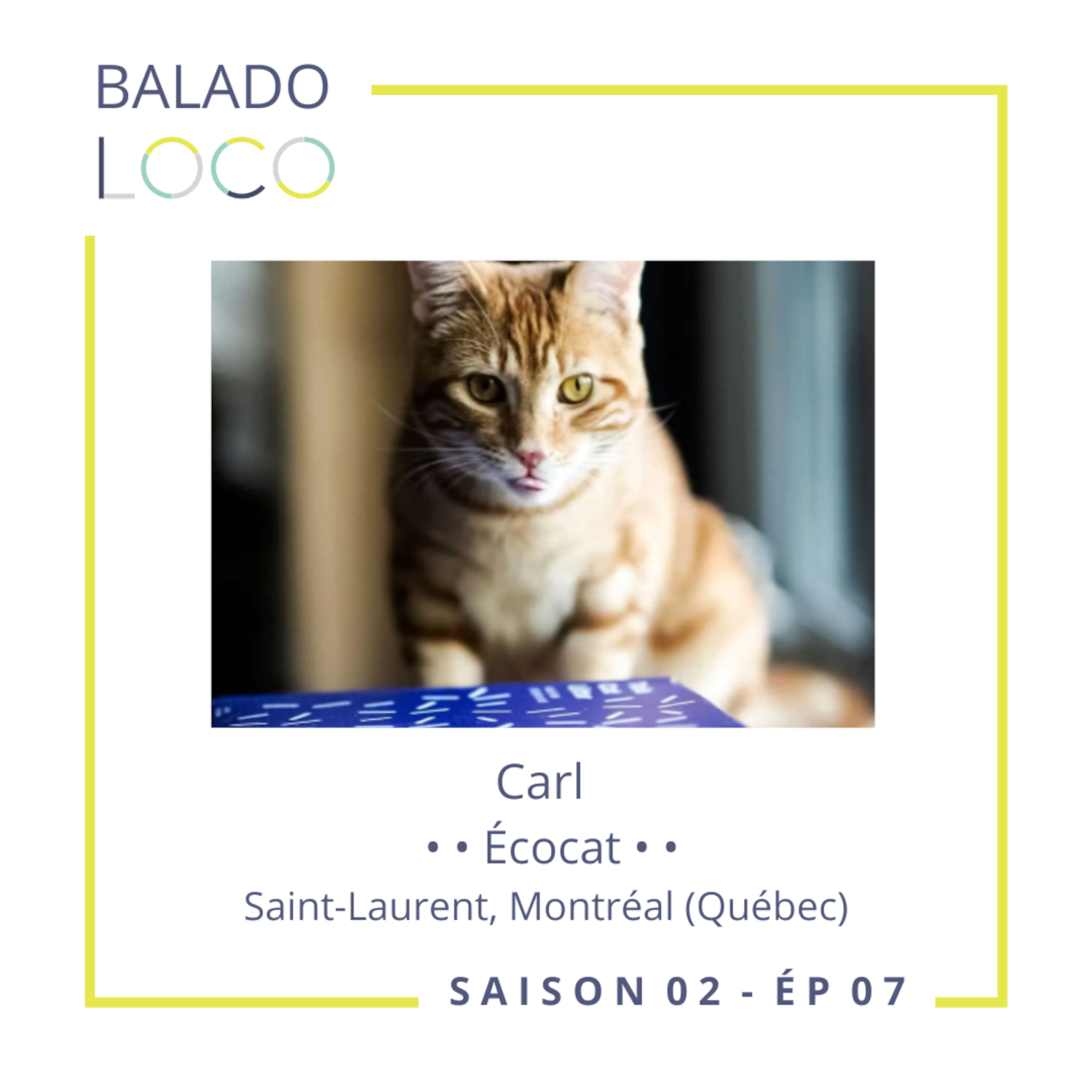 S02-EP07: ÉcoCat la litière écologique