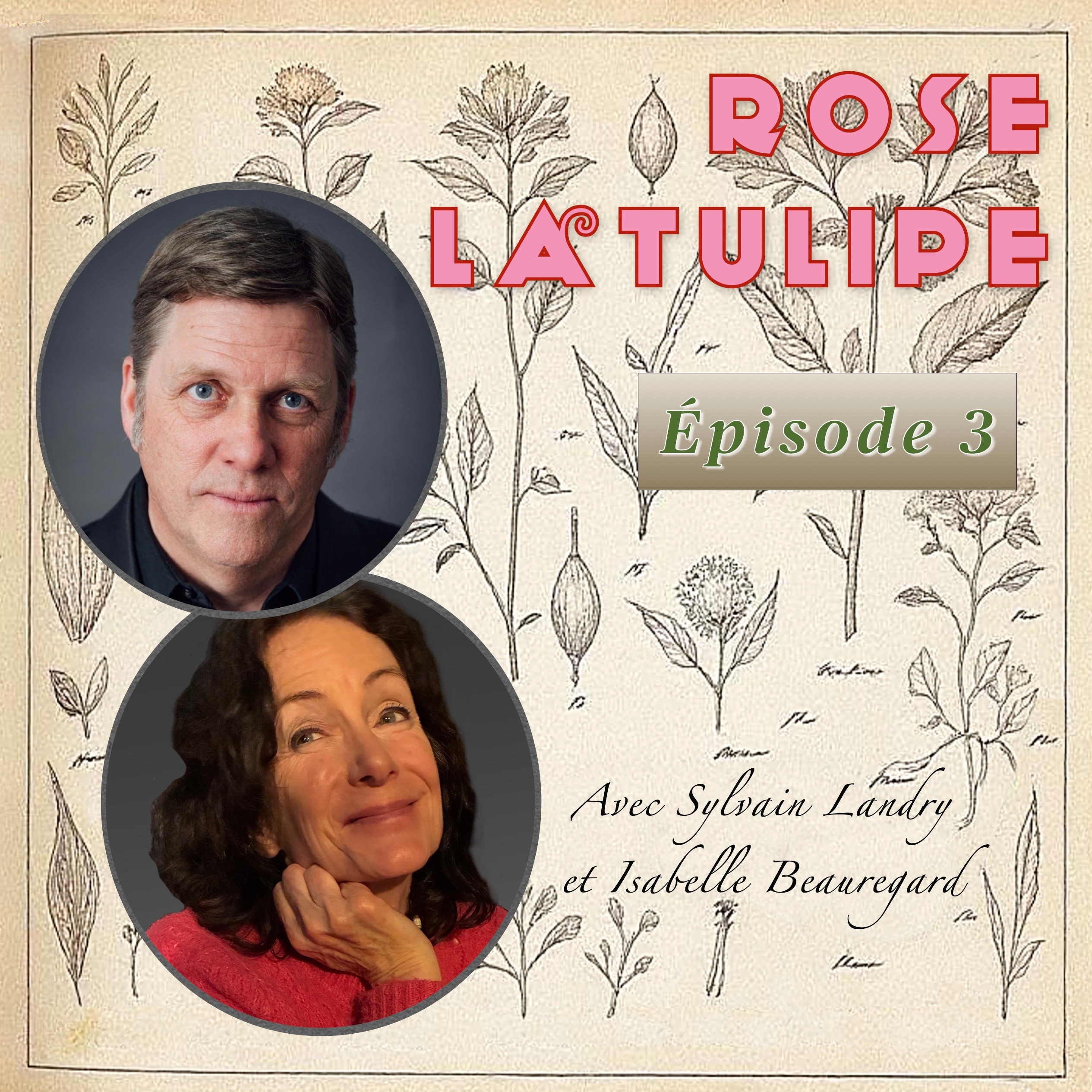 Épisode 3: Quand la forêt cache l'arbre