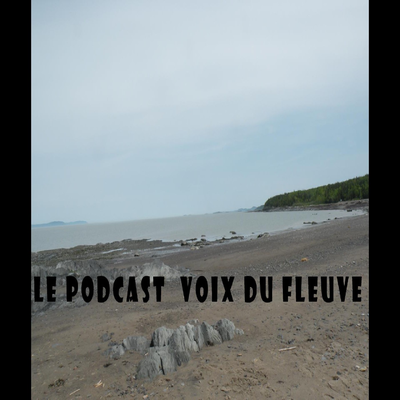 a la conquête d'une réponse